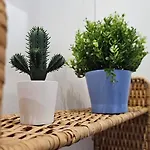 Teeny Tiny *